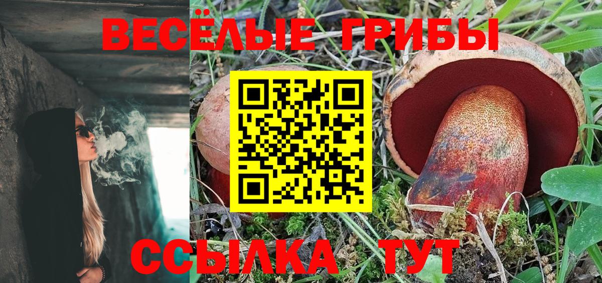 Волгодонск  Псилоцибиновые грибы Psilocybine cubensis  Вход с VPN  Галлюциногенные грибы мицелий 